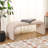 Andee Velvet Upholstered Bench-560810569