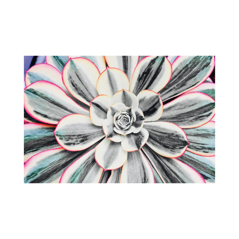 Fluorescent Succulent by Susan Vizvary - Wrapped Canvas Print, 20.32 cm H x 30.48 cm W