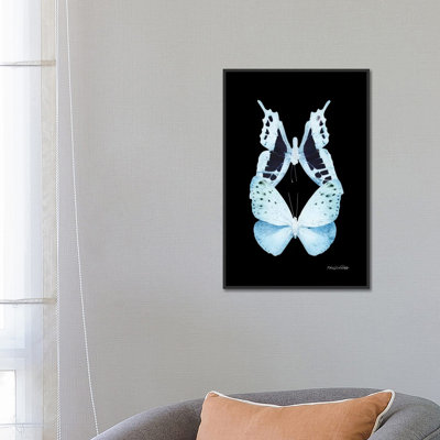 « miss papillon x-ray viii », impression sur toile