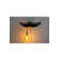 The Tail Will Follow Resin Flush Mounted Sconce