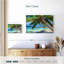 Gillard Coastal Palm-107683537