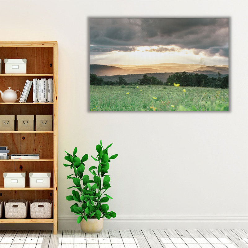 «Laying in the Flowers», reproduction d'art sur toile, H 20 po x l 30 po