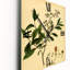 Horloge murale Plant Life-100724266