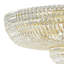 Petit Crystal Deluxe 27 Light 36in x 17in Flush Mount in Polished Gold with Clear Optic Crystals-1477032517-1477032568