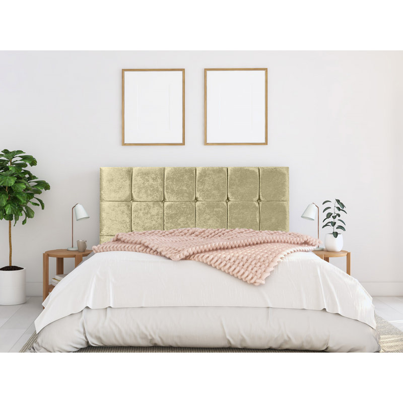Bridgeman Upholstered Headboard, Champagne, Small Single (2'6)