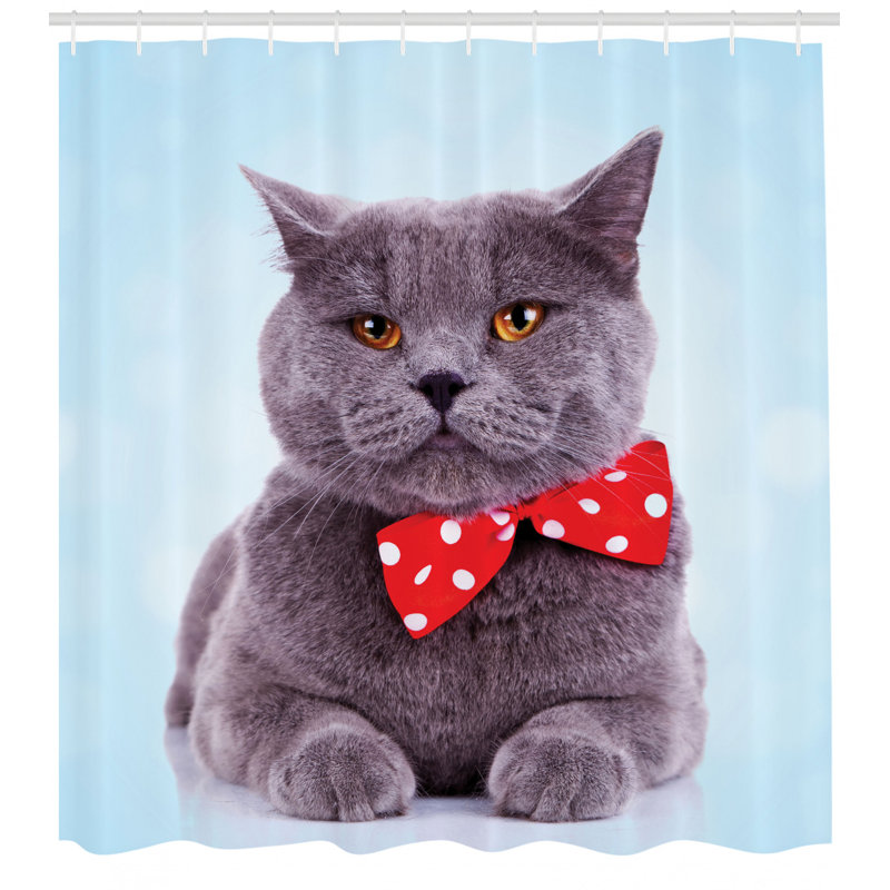 Ensemble de rideau de douche et crochets Cat, H 70 po x l 69 po