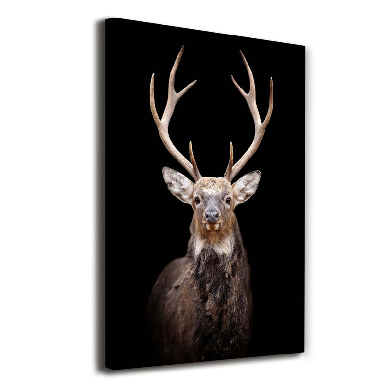 Deer - Wrapped Canvas Print