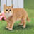 Purkey Cat No Additional Durability Resin Garden Statue