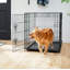 Metal Dog House with 2 Doors