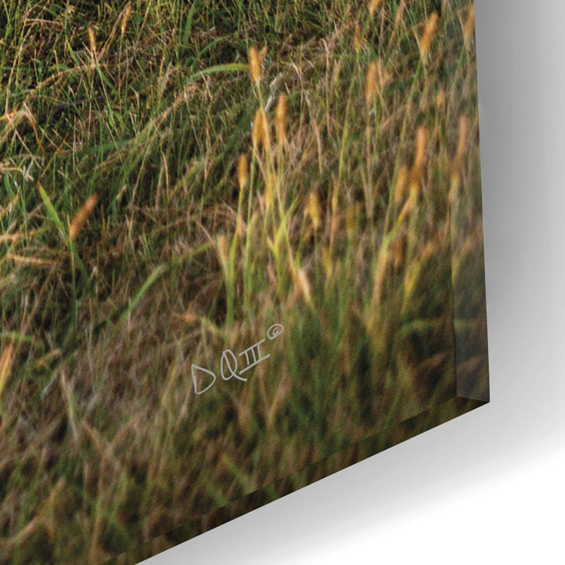 «Last Flight III» par Donnie Quillen - impression sans cadre, H 16 po x l 12 po x P 0,13 po