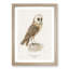 Perched Owl by Von Wright - Picture Frame Painting Print-55739035-55739040