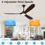 Ceiling Fan with LED Lights-1856407081-1856437298