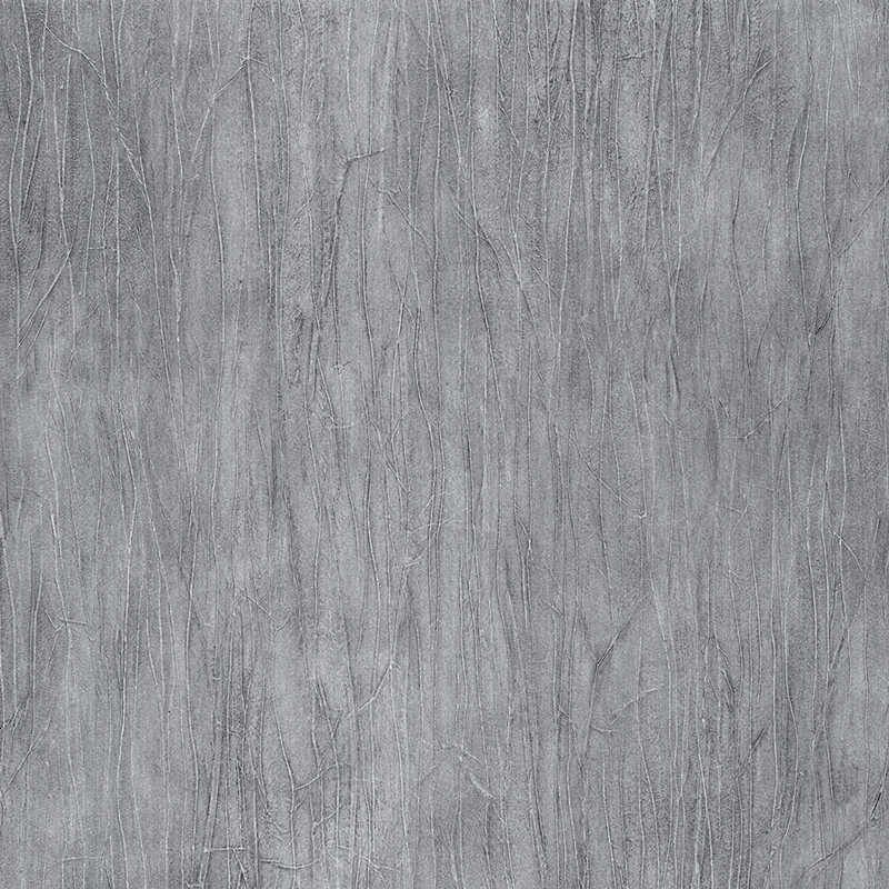 Rouleau de papier peint Natalie 32,7 pi L x 20,5 po l, Argent/Noir