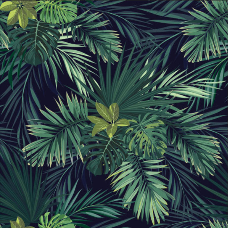 Hoyne Matte Wall Mural, 520cm W x 300cm L