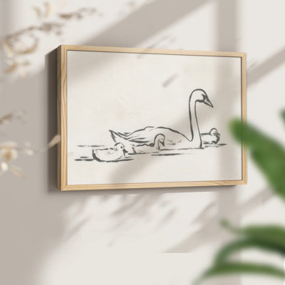 Swan Sketch III -Framed Print - Restickable