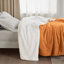Couverture polaire sherpa douce et moelleuse BedBedsure GentleSoft, format king, épaisse et confortable pour l'hiver et l'automne, idéale pour le canapé et le lit.-105504644-105504624
