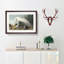 White Heron by John Audubon - Picture Frame Art Prints-55612906-55612910