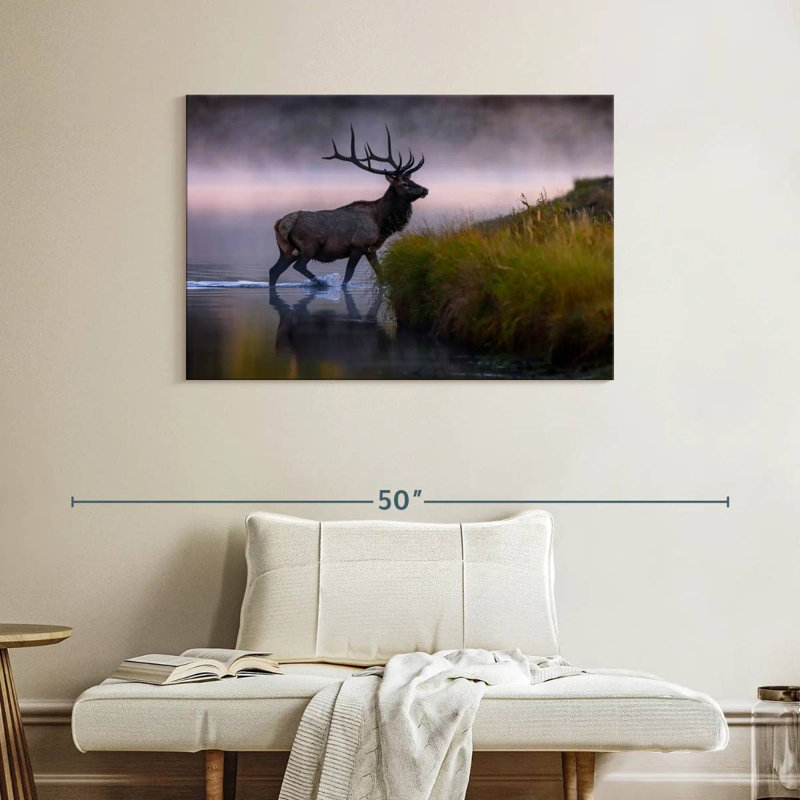 Wapiti dans l'eau, H 26 po x l 39 po