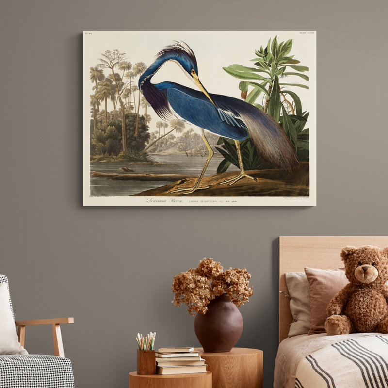 Louisiana Heron Bird by John Audubon - Art Prints on Canvas, 21cm H x 31cm W x 4cm D