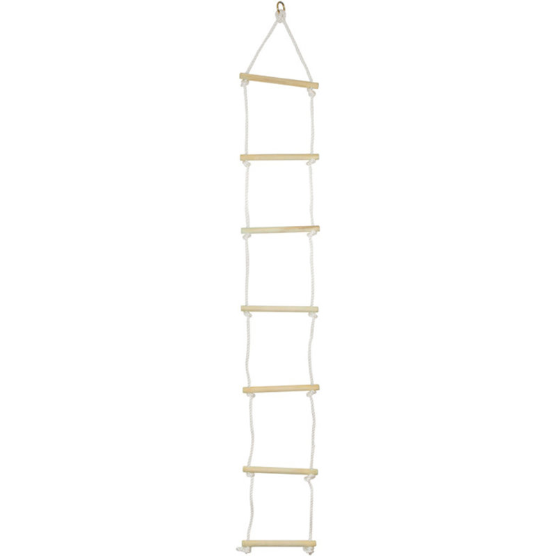 Climbing Fort Ladder