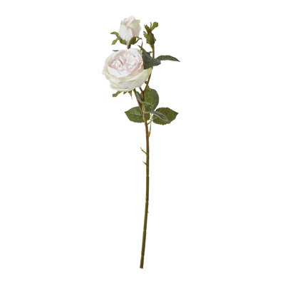 Arrangement