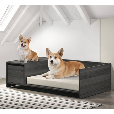 Esme 47-inch Modern Pet Bed Sofa with Cushion and Side Storage, Ash Grey Dog & Cat Bed, Removable Cushion Cover, Indoor Pet Furniture for Small Pets up to 22 lbs