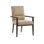 Park City Upholstered Arm Chair