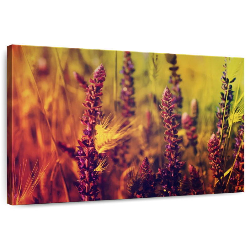 Pré de fleurs Harnek, H 20 po x l 30 po