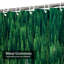 Rideau de douche Tops Trees-108164691
