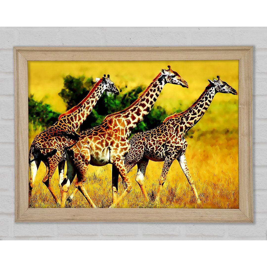 Safari Giraffe - Druck