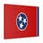 " Tennessee State Flag "-1497679908
