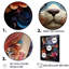Chat Sphynx Soul Portrait I - chat, art mural, salon-95895363-95895359