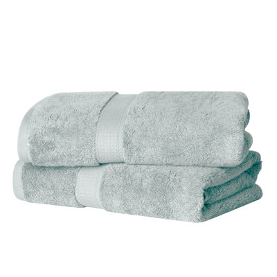 Renata 800 GSM 2 Piece Certified Egyptian Cotton Bath Towel Set 
