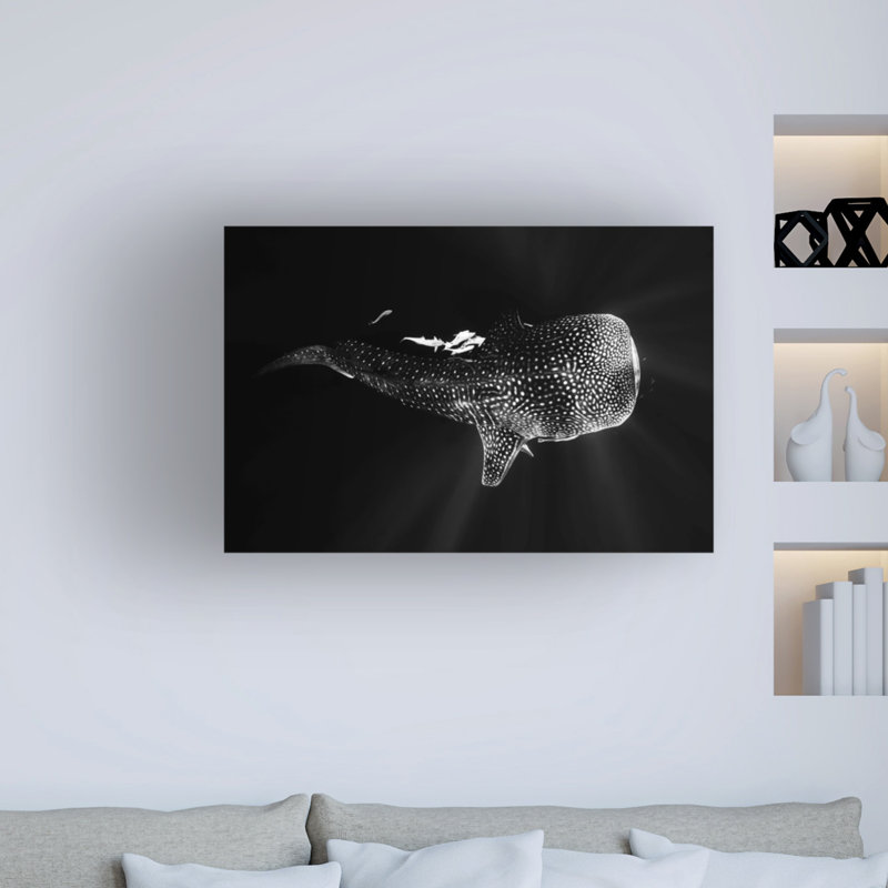 " Black And Whale Shark " by Barathieu Gabriel, 12" H x 19" W x 2" D