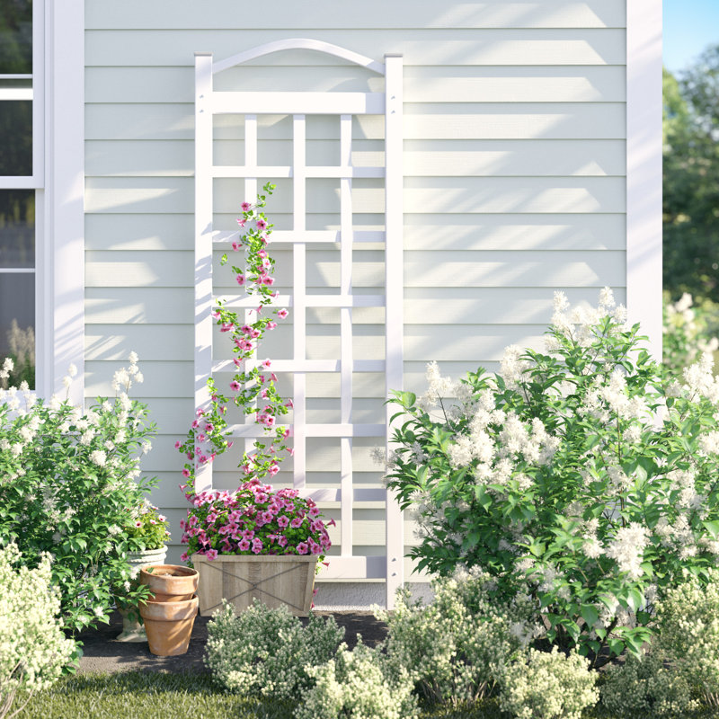 Arrya 76'' H x 28'' W Vinyl Trellis, White