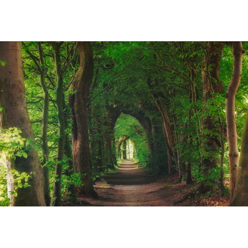 Magical Forest Path by Serts - Wrapped Canvas Print, 51cm H x 76cm W