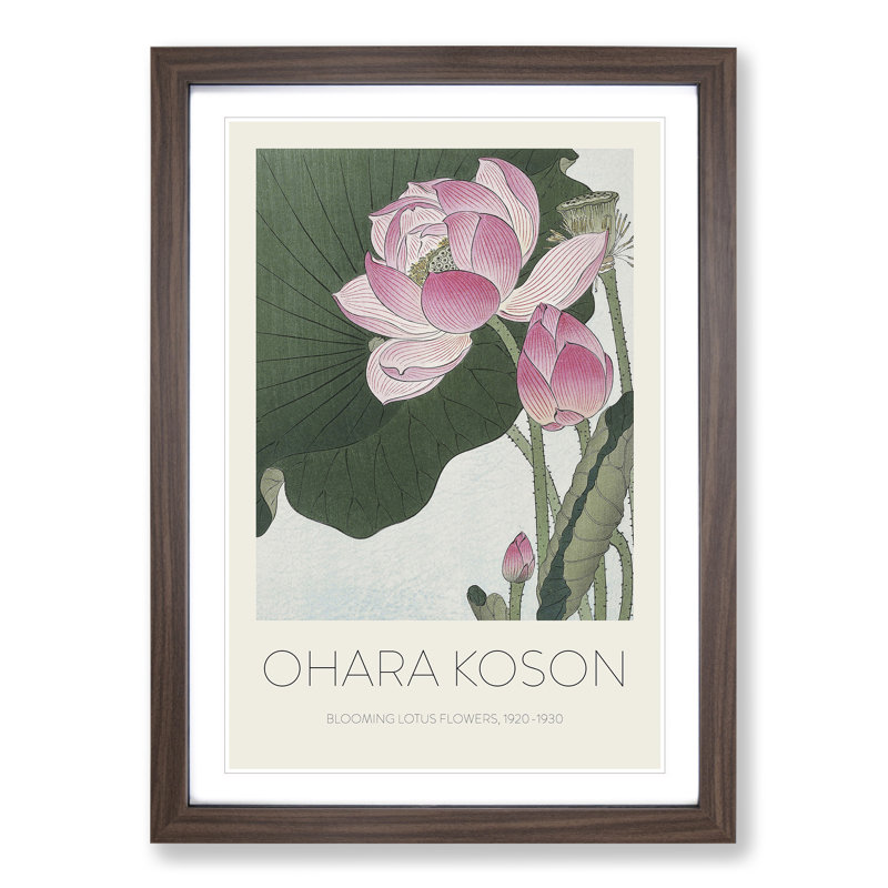 Pink Lotus Flower Print by Ohara Koson - Picture Frame Painting, 65cm H x 48cm W x 2cm D, Walnut Framed