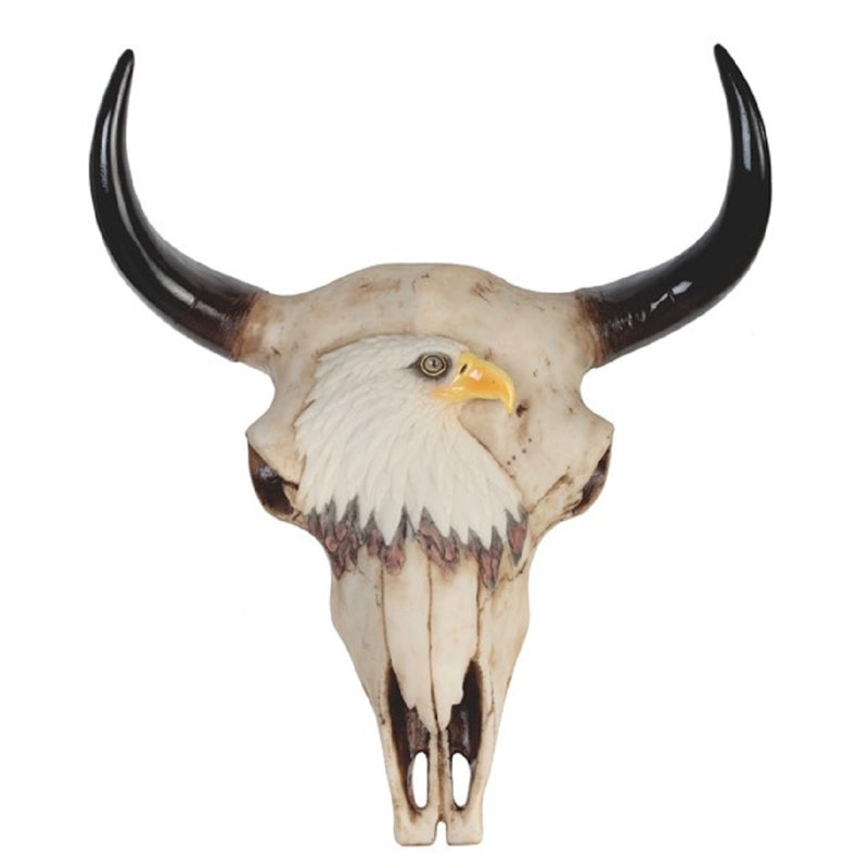 Crâne Buffalo Springdale