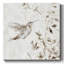 «Flutter Of Wings I» sur toile-1169662731