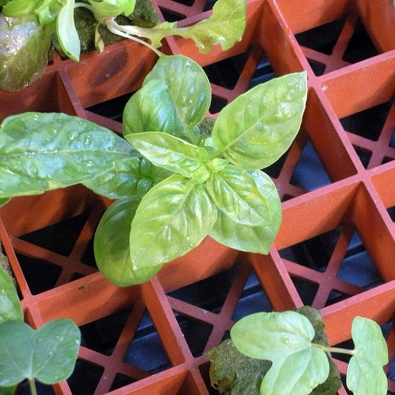 Hydrofarm Growing Kit Fruits / Vegetables