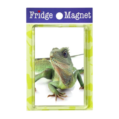 Fridge Magnet