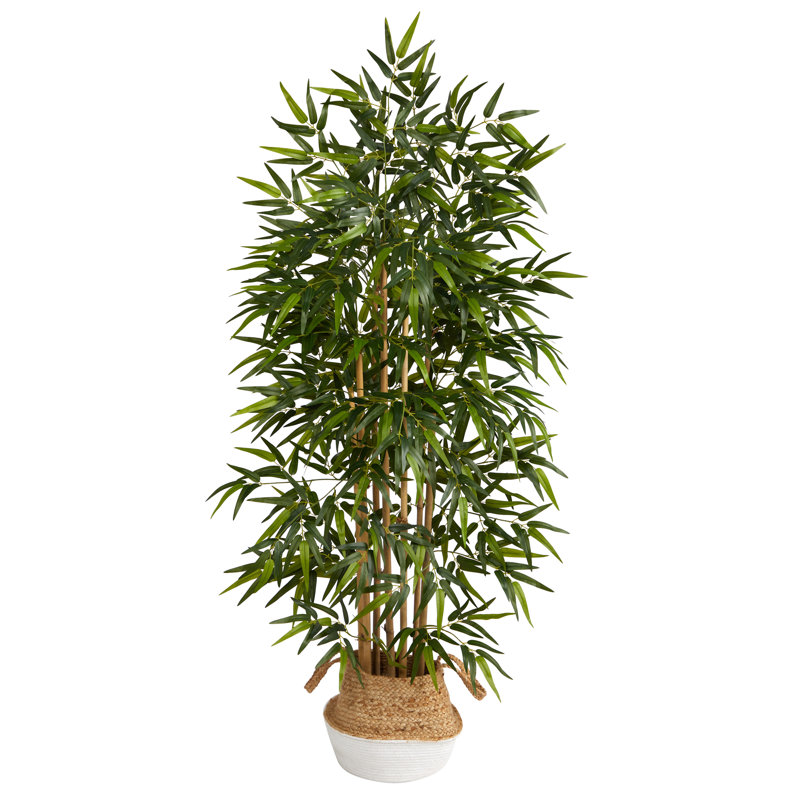64'' Faux Bamboo Tree in Planter, Tan/White