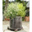 Zendaya Weather Resistant Planter Feet-42607057