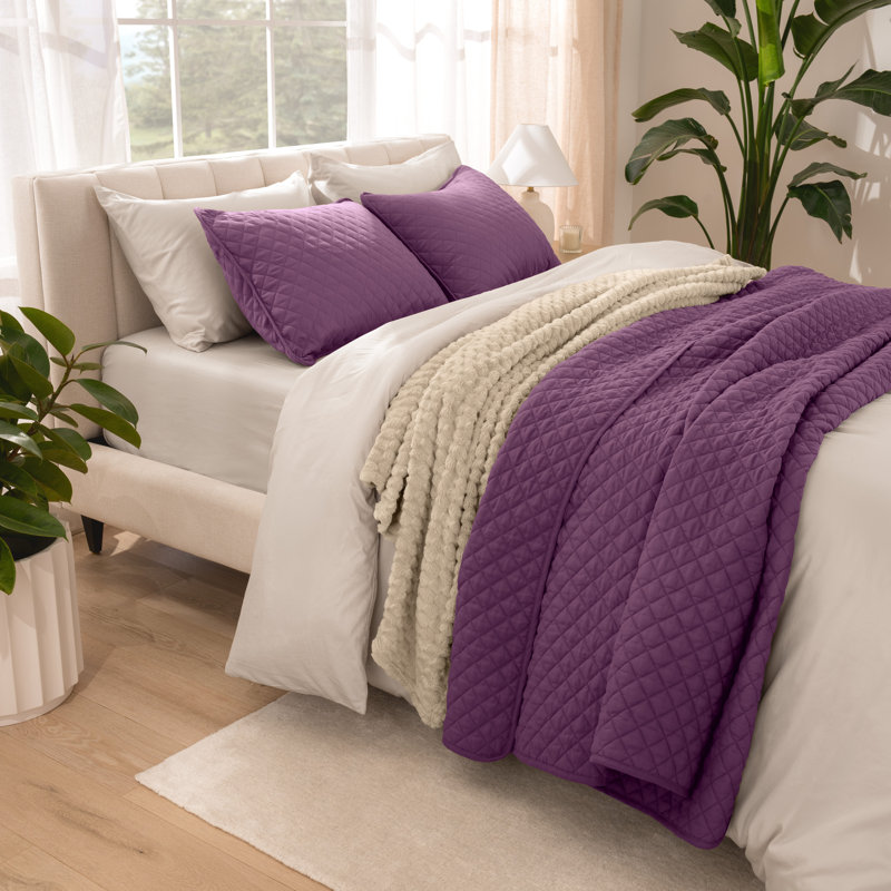 Ensemble de couvre-lit moderne et contemporain en microfibre 3 pièces , Prune
