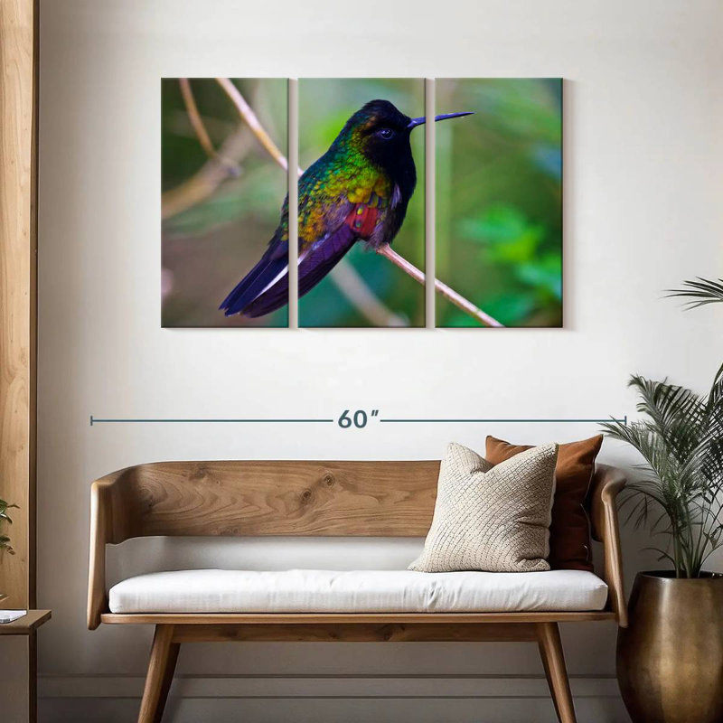 Colibri à ventre noir Brampt, H 28 po x l 45 po