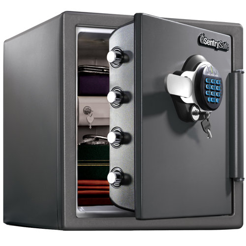 Dual-Lock Safes | Dual Control Safe