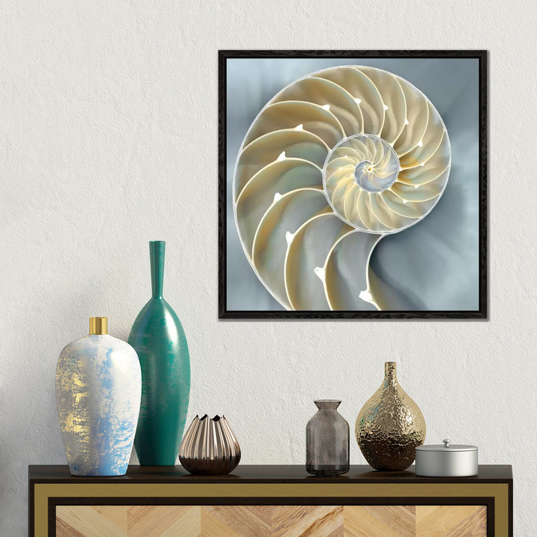 Nautilus in Blau I