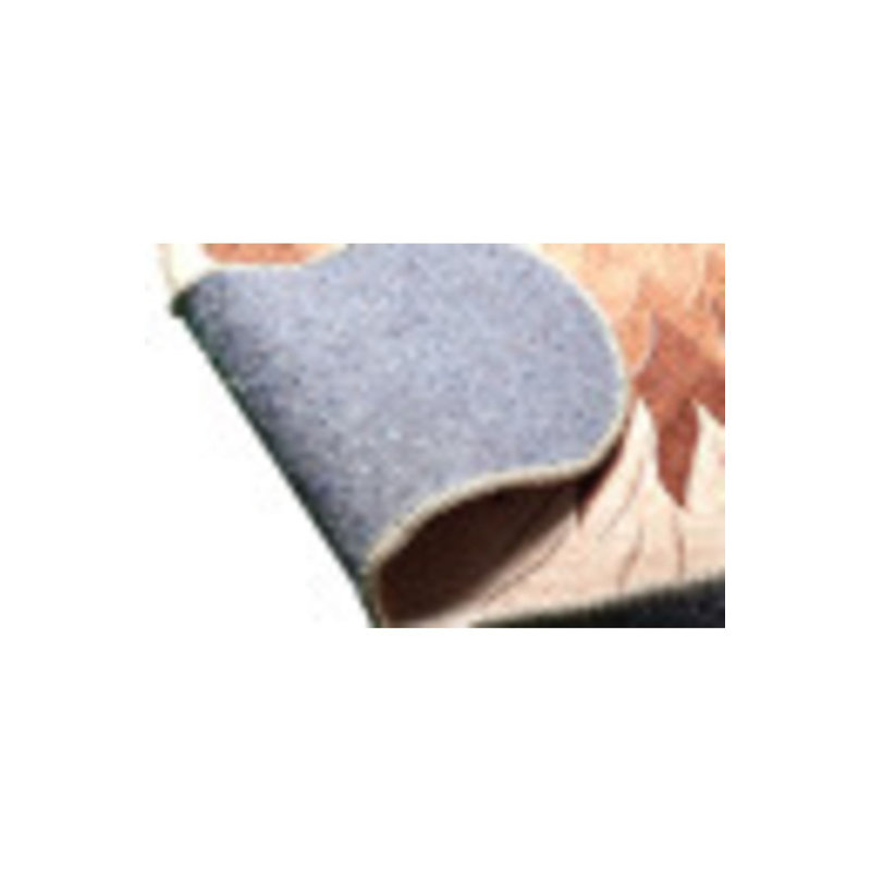 Cute Lion Pattern Woven Base Machine Washable Rug, Square 3'3" x 3'3" Rug Pad Included