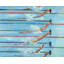 Olympic Swimmers - Contemporary Orange Framed Matted Print