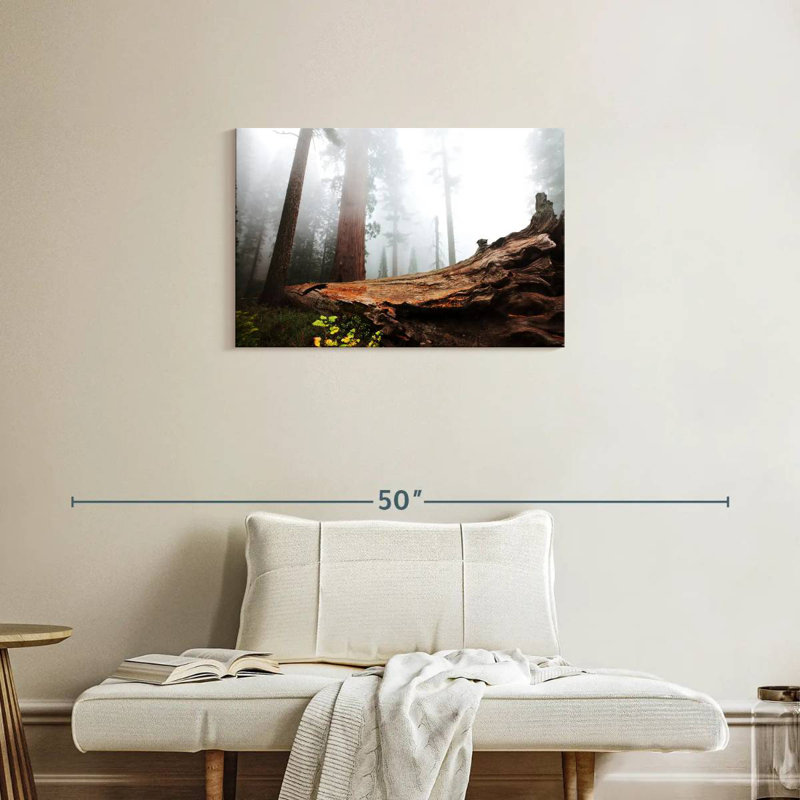 Harnek Fallen Sequoia Tree, 20'' H x 30'' W